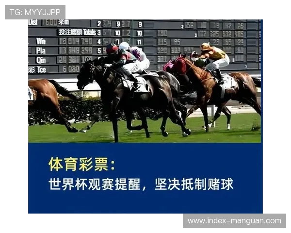 体育博彩合法化增加观赛热情，联盟收入多元化