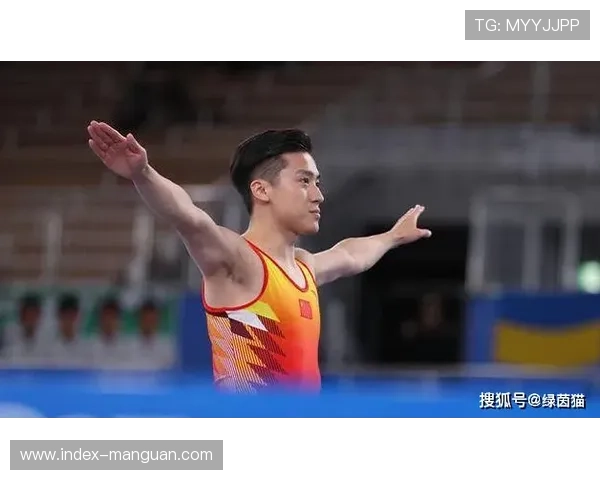 国际体操联合会运动员委员会选举，董栋当选委员