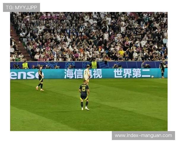 企业赞助成德甲球队重要收入支柱，曾开创体育营销先河