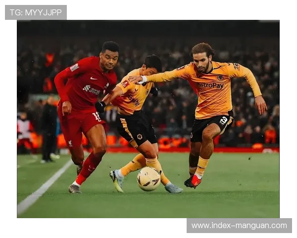 数据模型看好曼城，主场对阵升班马胜率超九成