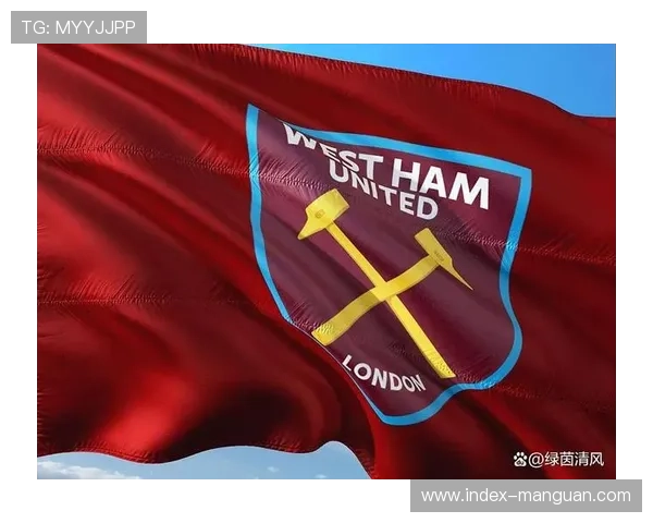 冬季转会窗关闭,英超各队引援成效初显 冬季转会窗关闭,英超各队引援成效初显